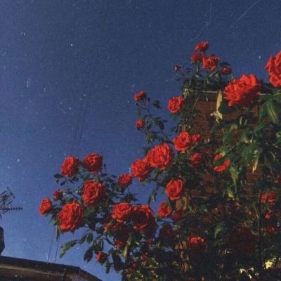 澳门新葡澳京下载手机版