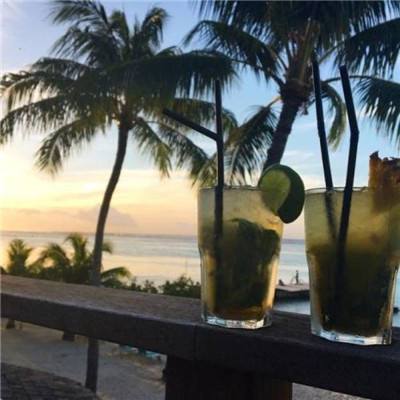 pc蛋蛋官方网站